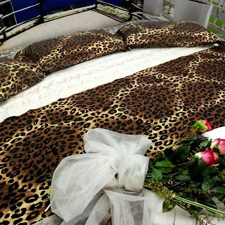 New Emotion Τεργέστη