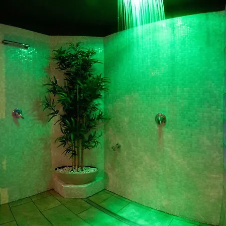 New Emotion * Τεργέστη