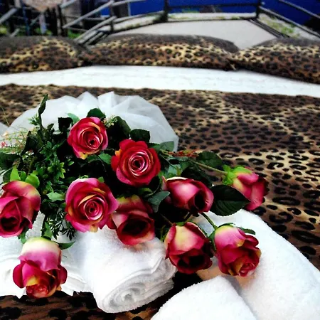 Πανσιόν New Emotion Τεργέστη