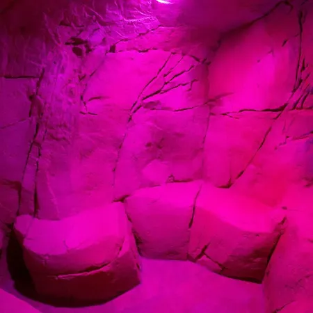 招待所 New Emotion